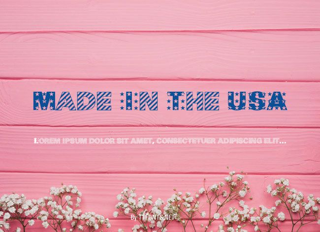 Made In The USA example